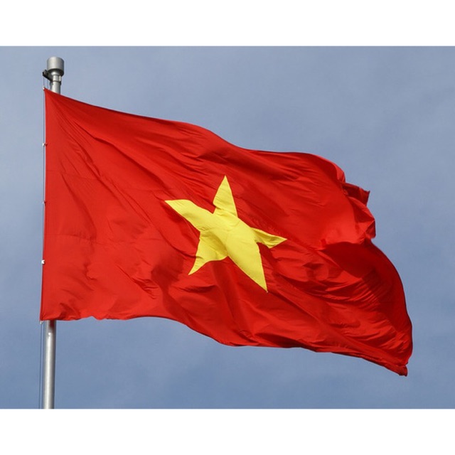Flag of Vietnam, Vietnam flag