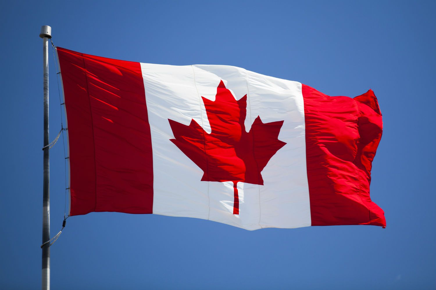 Flag of Canada from flag producer